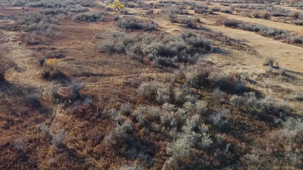 hermosa vista de la orilla sur sobre el río red deer en alberta, canadá