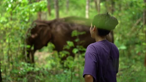 Mujer-Joven-Sonríe-Y-Admira-El-Elefante-Rescatado-En-Un-Santuario-De-Animales-En-La-Jungla-De-Chiang-Mai,-Tailandia-A-Cámara-Lenta