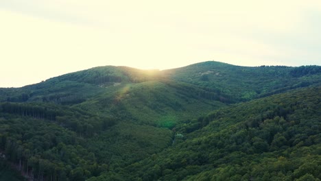 Aerial-shot-of-the-sunset-over-a-beautiful-green-forest