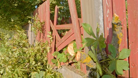 Broken-wooden-fence-with-tree-branch-because-of-strong-winds