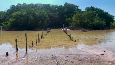 entrada de manglares en yucatan mexico