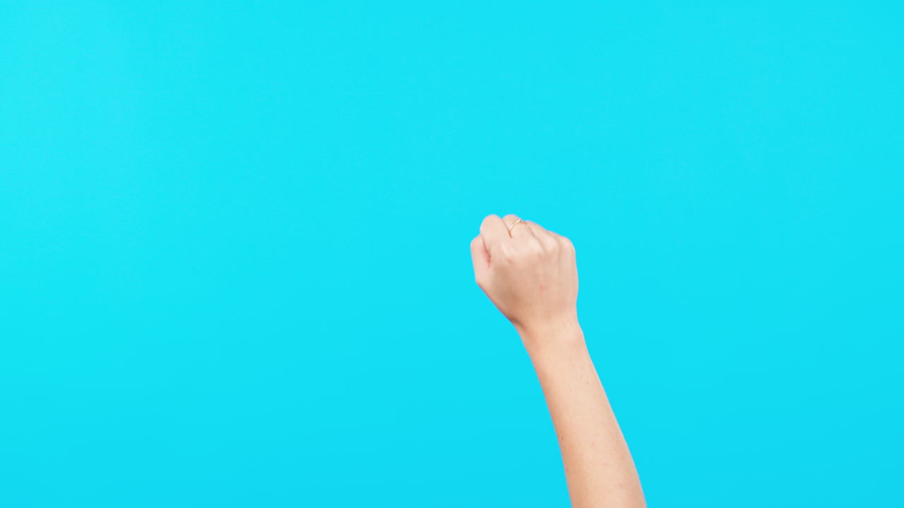 손, 시위, 그리고 주먹으로 인권