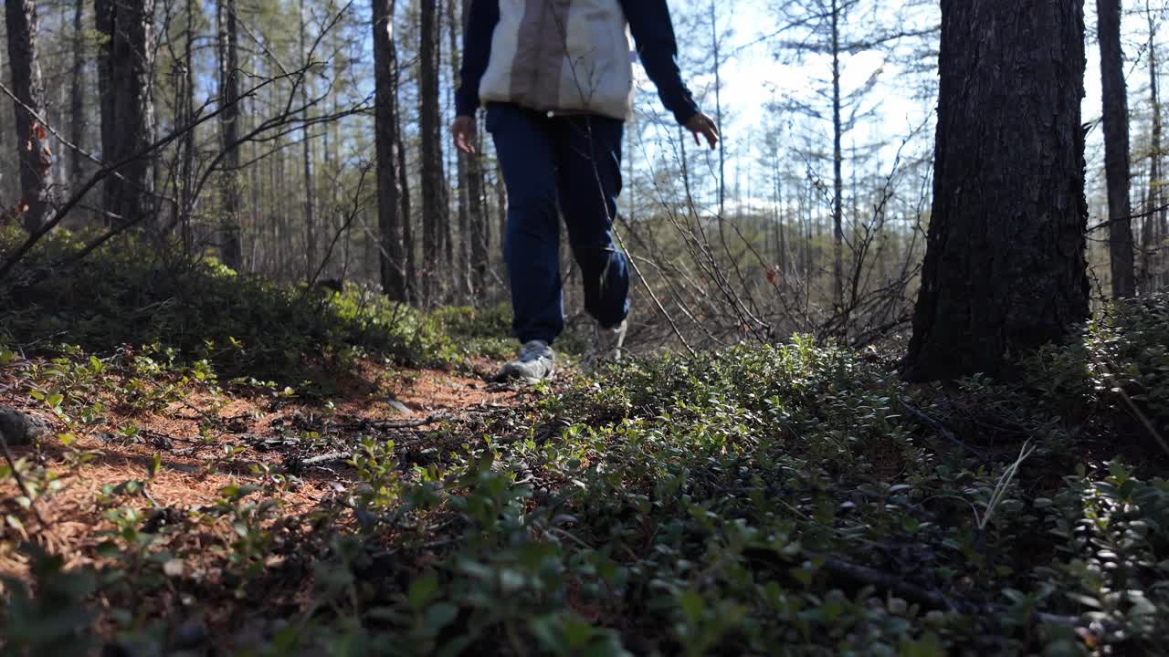 Una persona cammina attraverso una fitta foresta illuminata dal sole nelle prime ore del mattino, godendosi la natura pacifica e i suoni ambientali