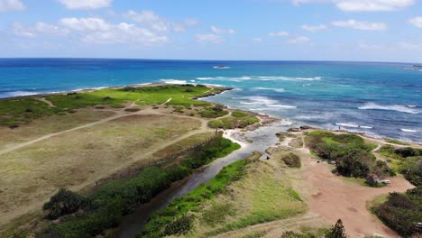 Drone-Aéreo-Movimiento-Ascendente-4k-De-La-Costa-Pacífica-Y-Vegetación-Natural-Alrededor-De-La-Costa-Norte-De-Oahu