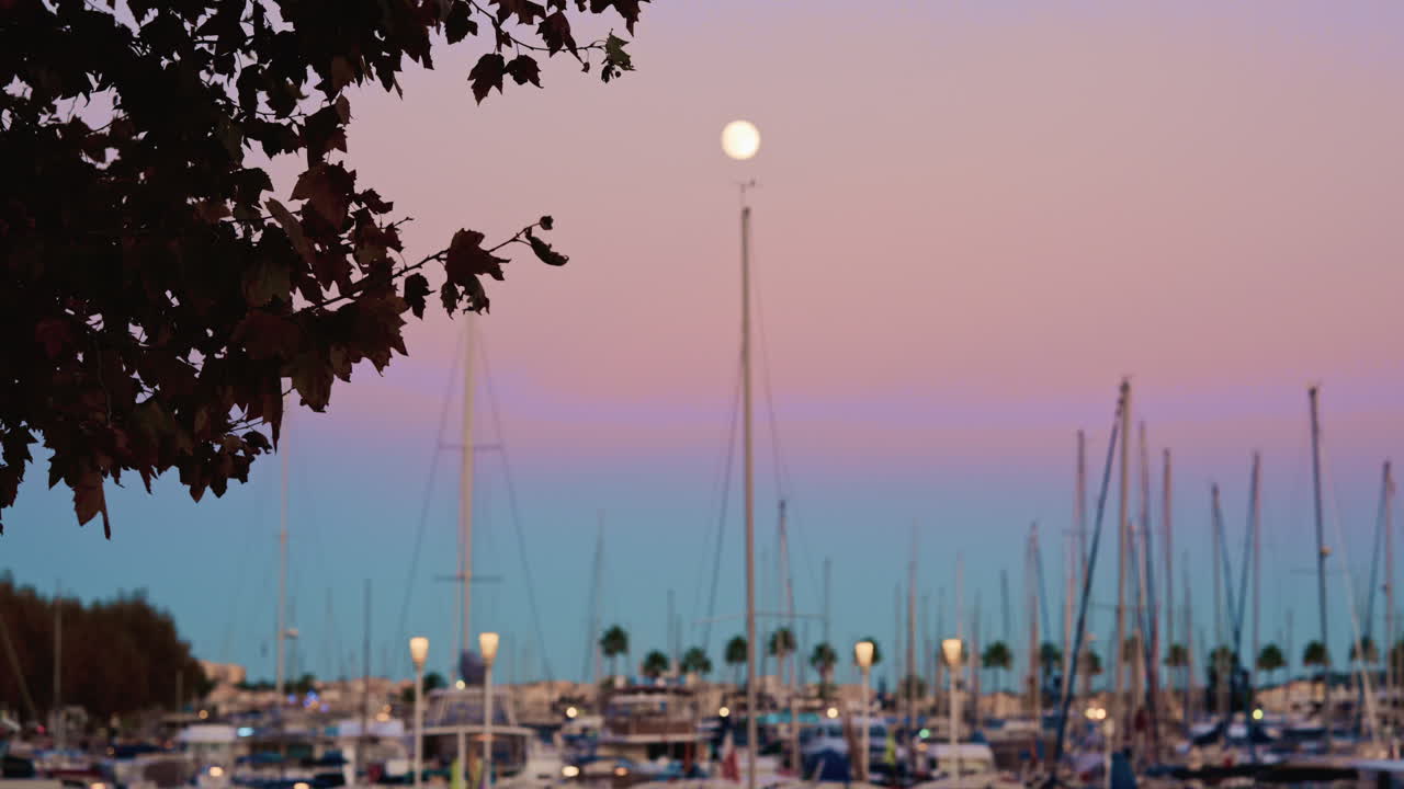 Softly blurred view of a marina at blue hour, with bokeh lights and boat masts under a gradient sky, framed by autumn leaves and a bright full moon