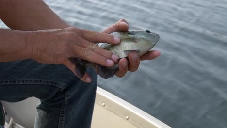 a man on a boat holding a fish - close up