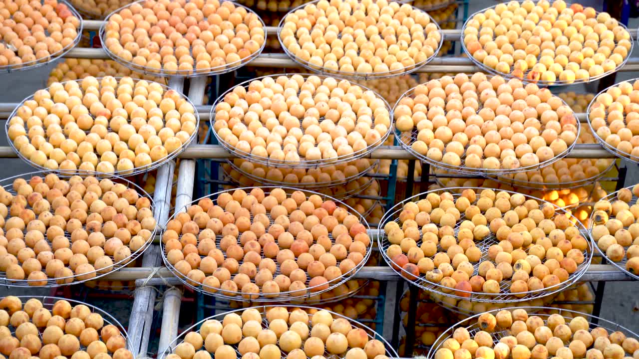 Making process of sun exposuring dried persimmon in a sieve in autumn.