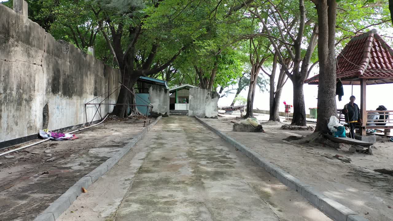Path Through a Tropical Island Garden