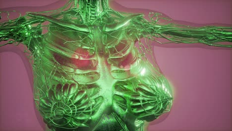 radiografía de mamografía para el diagnóstico del cáncer de mama