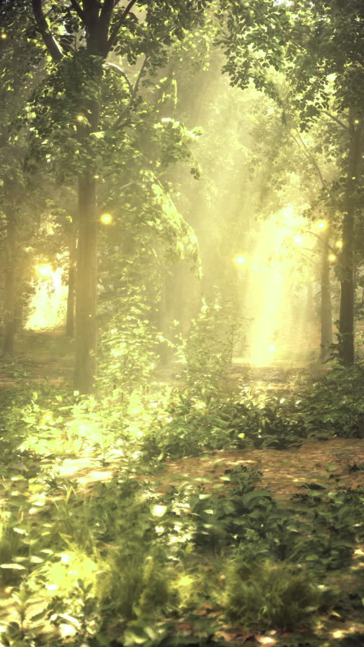 Magical forest illuminated by sunlight with glowing fireflies at dusk