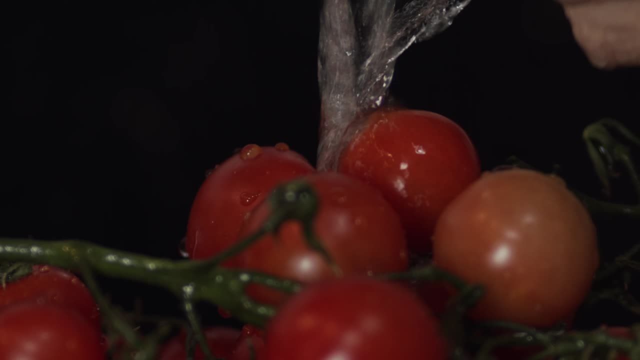 검은 배경에 고립 된 행동에 익은 신선한 빨간 토마토를 세척