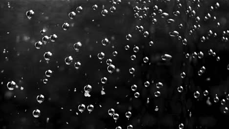 beautiful motion of the the underwater bubbles cloud. stock footage. abstract transparent spheres flowing in black water, seamless loop, monochrome