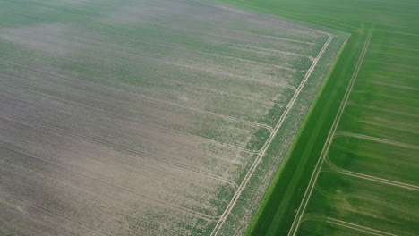 aerial view of agricultural fields