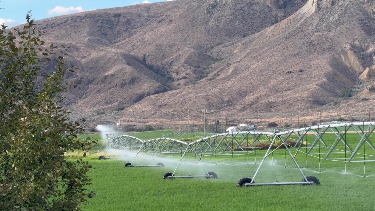 Tilting slowly down a centre pivot irrigation line as it sprays a green field near Kamloops, arid mountain slopes rising behind.