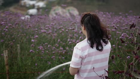 woman watering a field of purple flowers