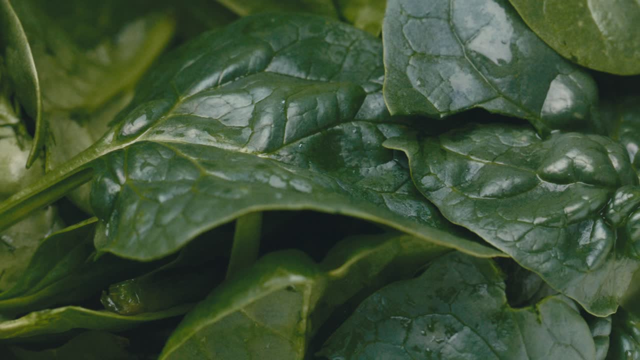 Extreme Close-Up of Fresh Green Spinach Leaves after Washing