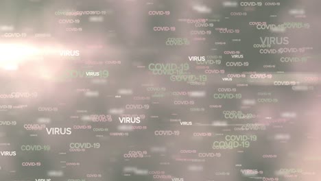 animation of multiple words virus and covid-19 written over glowing grey background.