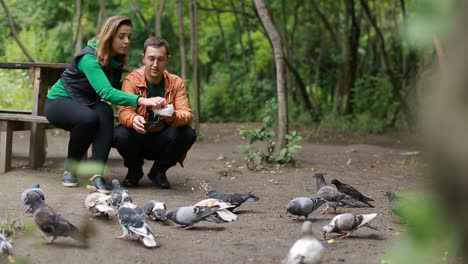 Couple in love feeding pigeons in the park