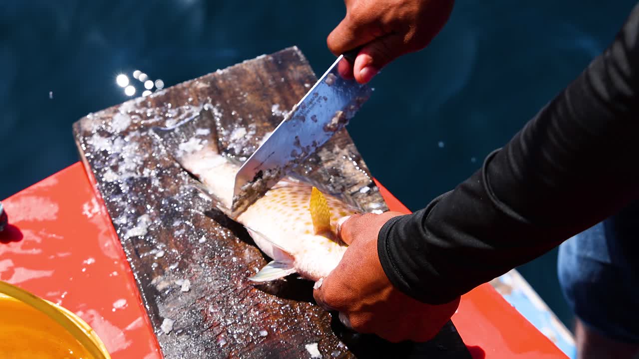 A person scales and cuts a fish on a boat in Phuket, Thailand. Bright sunlight highlights the detailed process