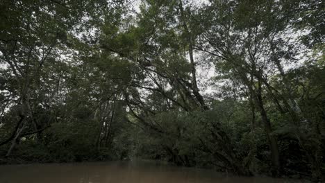 Agua-Marrón-Pacífica-De-Un-Río-En-La-Selva-Tropical-De-Ecuador