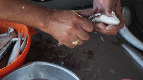 Primer-Plano-De-Un-Pescador-Destripando-Y-Limpiando-Un-Pescado-Fresco-En-El-Barco