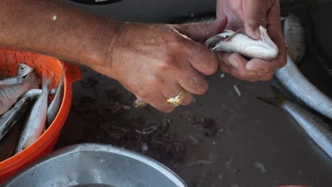 primer plano de un pescador destripando y limpiando un pescado fresco en el barco
