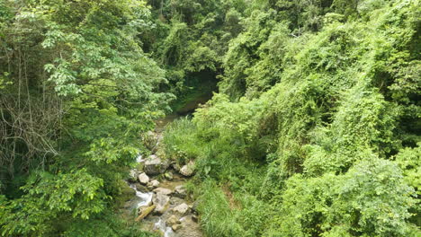 Blick-Aus-Der-Vogelperspektive-Auf-Den-Kleinen-Nizao-Flussbach-Mitten-Im-Wald,-Nach-Oben-Geneigt,-Tag