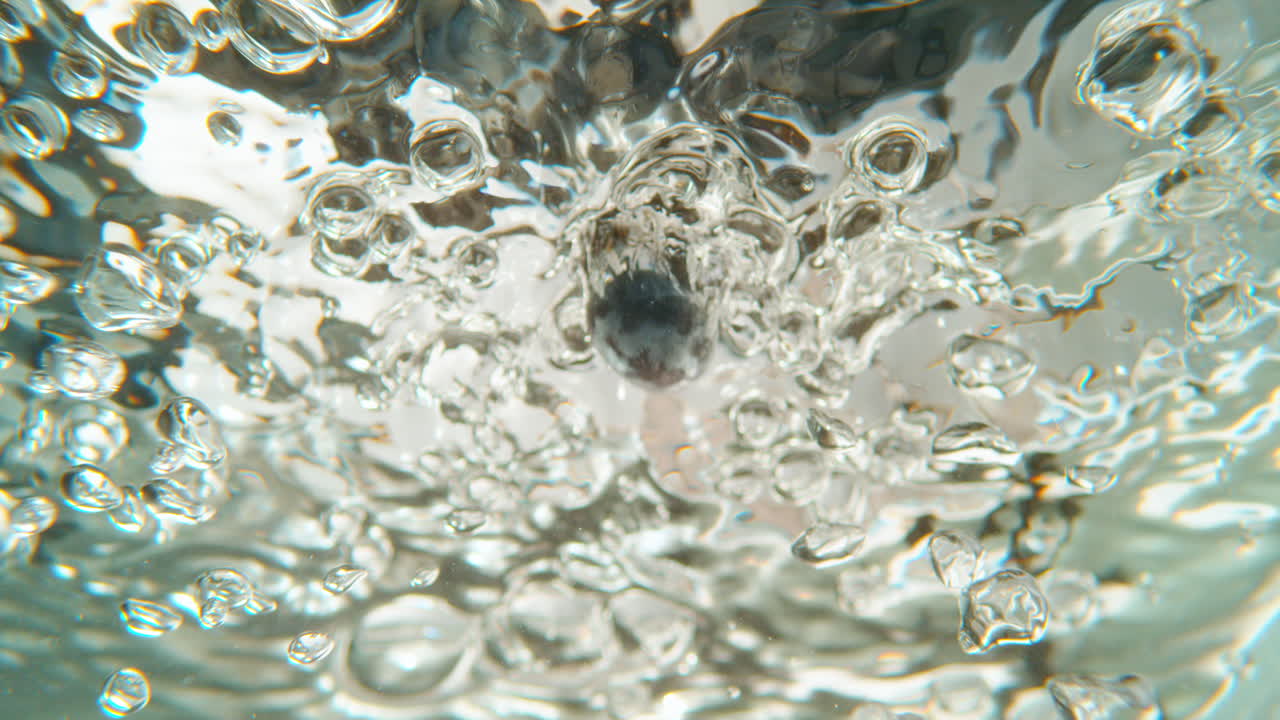 블루베리가 물에 어지고