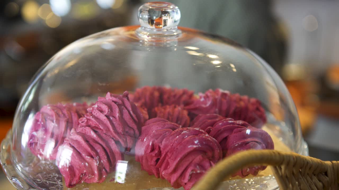 malvaviscos rosados bajo una cúpula de vidrio