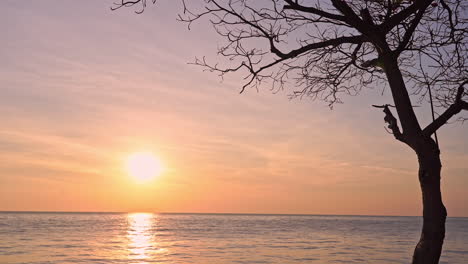 Silueta-De-árbol-Sin-Hojas-Cerca-Del-Mar-Al-Atardecer-Dorado,-Reflejo-Del-Sol-En-La-Superficie-Del-Agua-Del-Mar-En-Italia