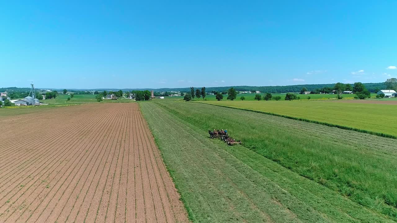 Farm workers gather crops in large fields under a clear blue sky. They use tools for the harvest. The land is divided into rows of crops. There are no buildings nearby, just farmland