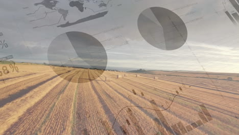 campo agrícola y estadísticas