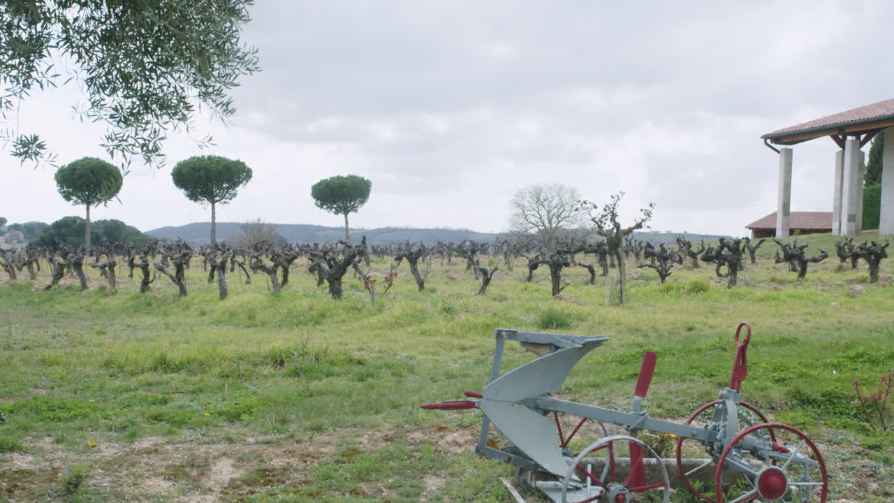 Rural Vineyard Landscape with Old Farming Equipment