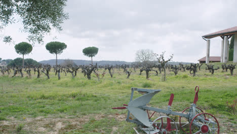 rural vineyard landscape with old farming equipment