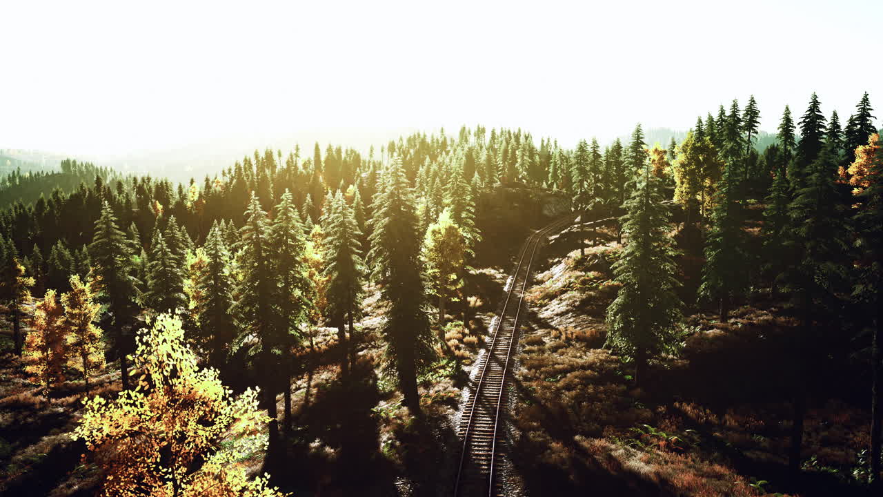 조용한 숲 열차 트랙