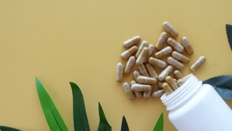 herbal capsules in a white jar with green leaves