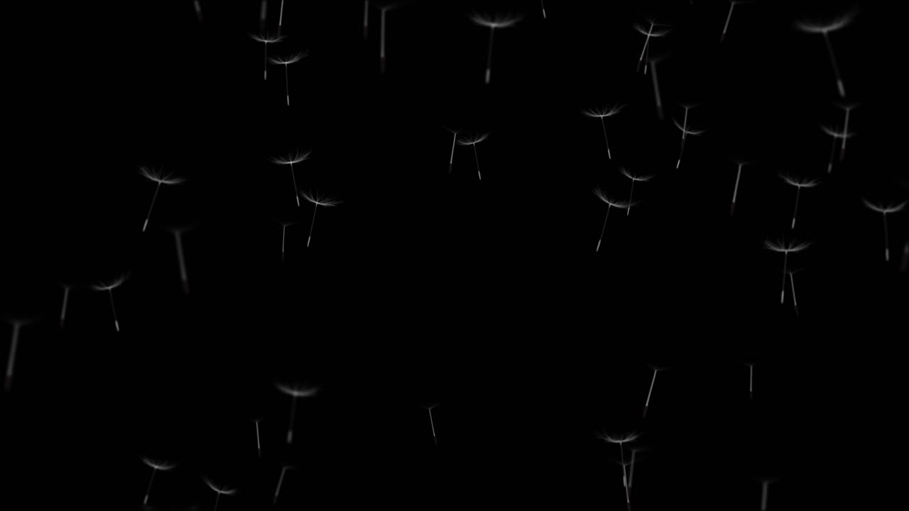 Dandelion Seeds