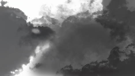 animación de sombras negras y grises sobre fondo blanco