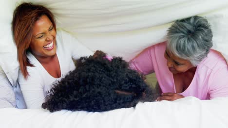 Happy-family-having-fun-on-bed-in-bedroom-4k