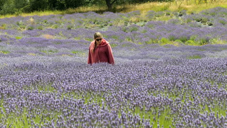 side profile of woman walking through purple lavender field wearing pink jacket