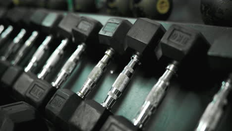 rack of dumbbells in gym