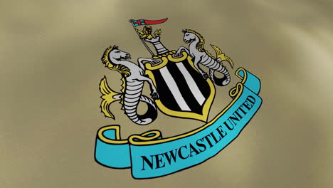 newcastle united football club logo