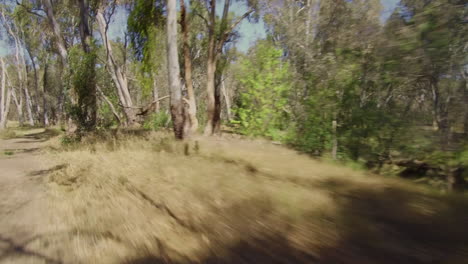 A-drive-along-a-dirt-track-in-the-Australian-bush-with-pot-holes-and-gum-trees