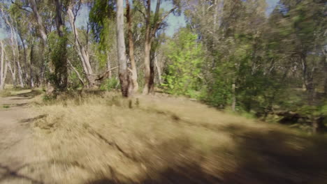 Un-Paseo-Por-Un-Camino-De-Tierra-En-La-Selva-Australiana-Con-Baches-Y-árboles-De-Goma