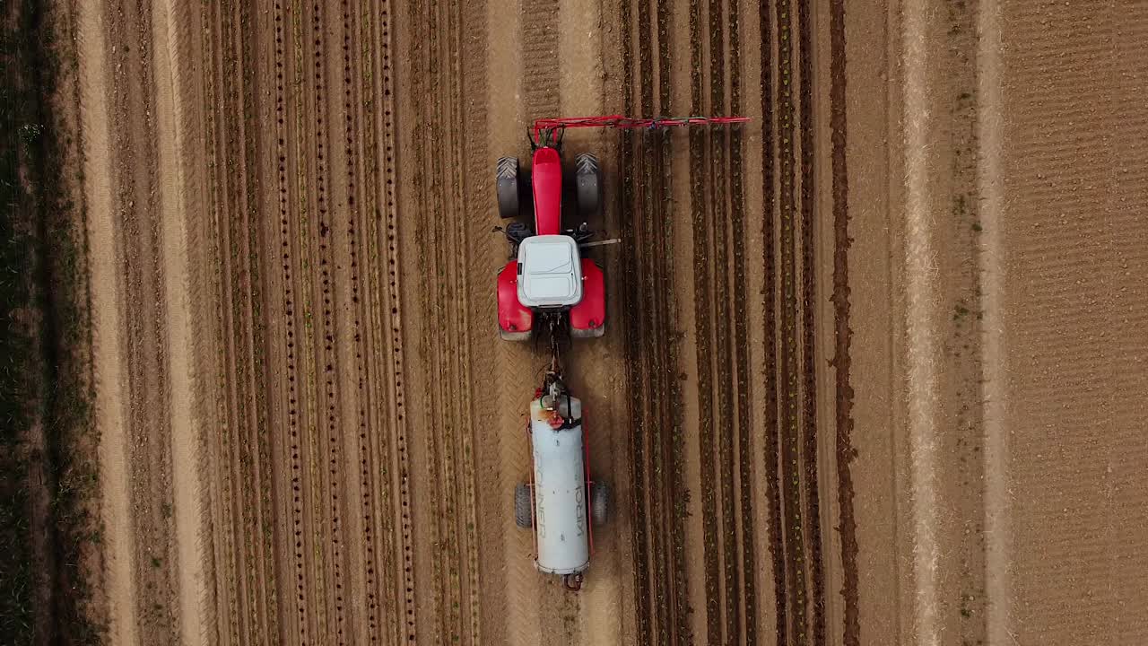 vista a volo d'uccello il volo del drone sopra il trattore guida sul campo e versa acqua sulle giovani piante di lattuga