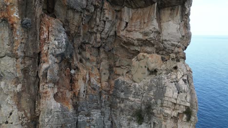close up aerial shot of wild goats rock climbing on pedra longa in sardinia, italy