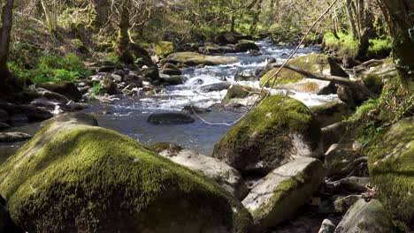 fresh water flowing down the river teign in dartmoor national park