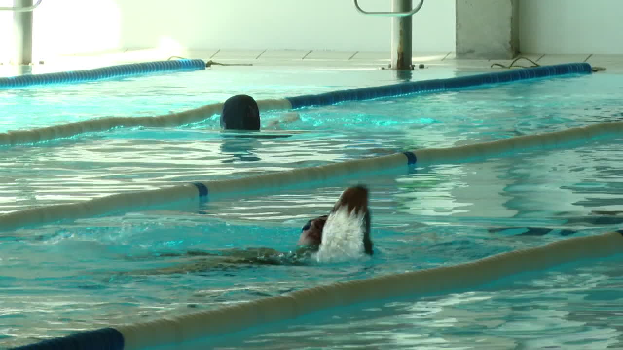 personas nadando en una piscina cubierta