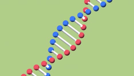 Animation-of-dna-strand-spinning-on-green-background