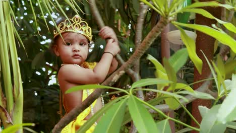 Entzückendes-Kleinkind,-Gekleidet-Als-Hinduistischer-Gott-Krishna,-Süßer-Gesichtsausdruck,-Der-Am-Baum-In-Janmashtami-Spielt